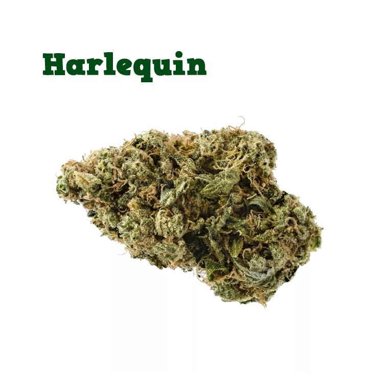 Fleurs de CBD Harlequin