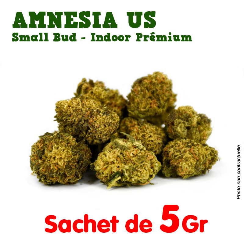 Fleur de CBD - Amnesia US Small Bud - Indoor Premium ++