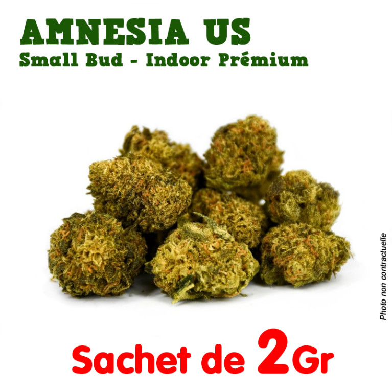 Fleur de CBD - Amnesia US Small Bud - Indoor Premium ++