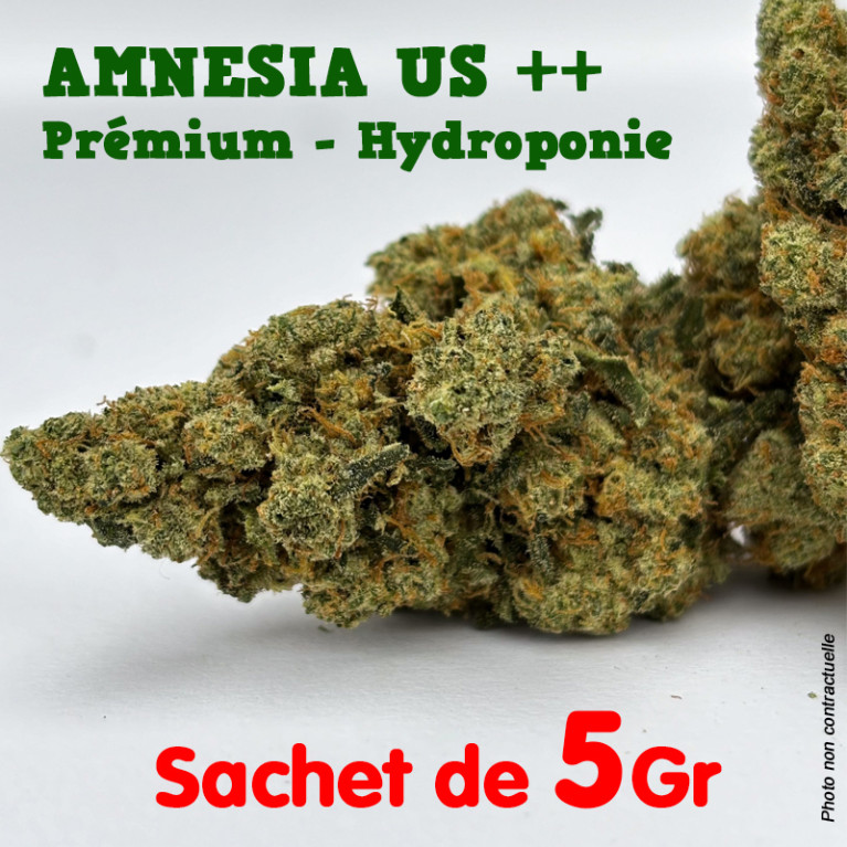 Fleur de CBD - Amnesia US - Indoor Premium ++