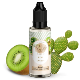 Concentré Kiwi Cactus Petit...